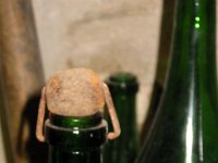 Champagne Okt 07-092